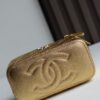 chanel 25c vanity bag
