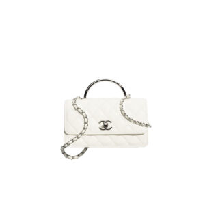 CHANEL Clutch With Chain Handle bag