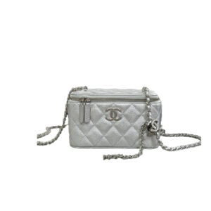 CHANEL Vanity MINI Flap Bag Silver