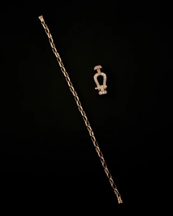FRED Force 10 bracelet