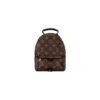 LV Palm Springs Mini Wofwefw 100x100