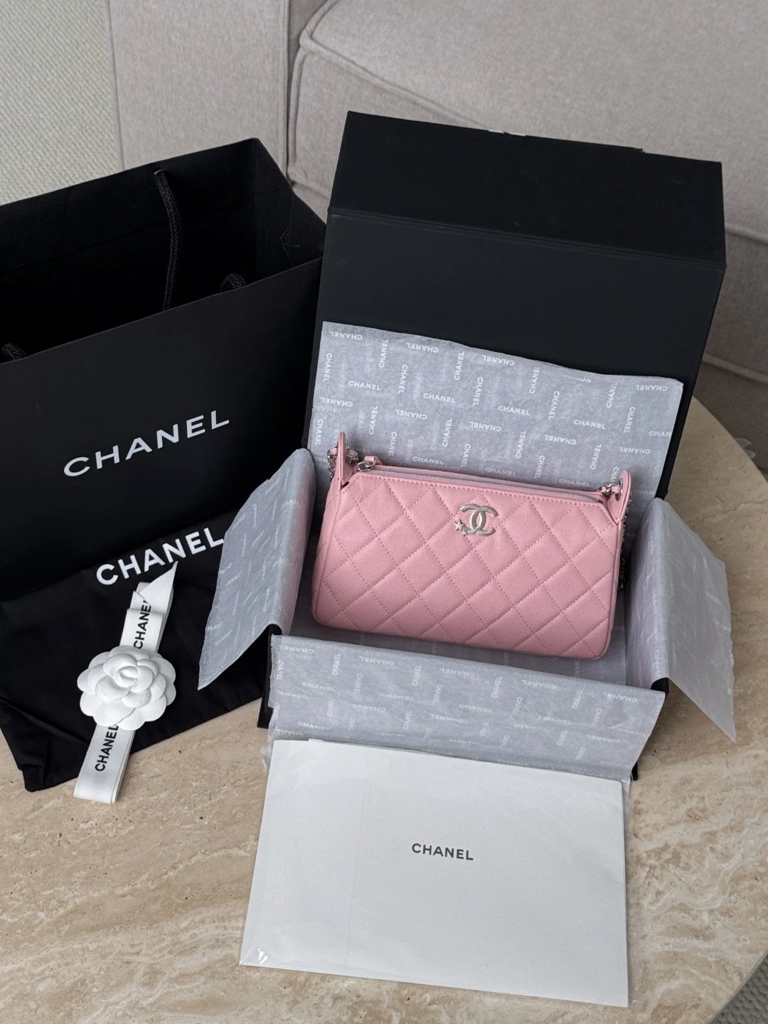CHANEL Clutch with Chain Bag IMG 8851