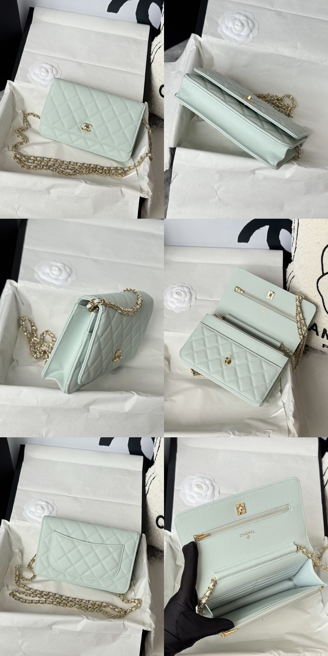 Picsew 20260317225747