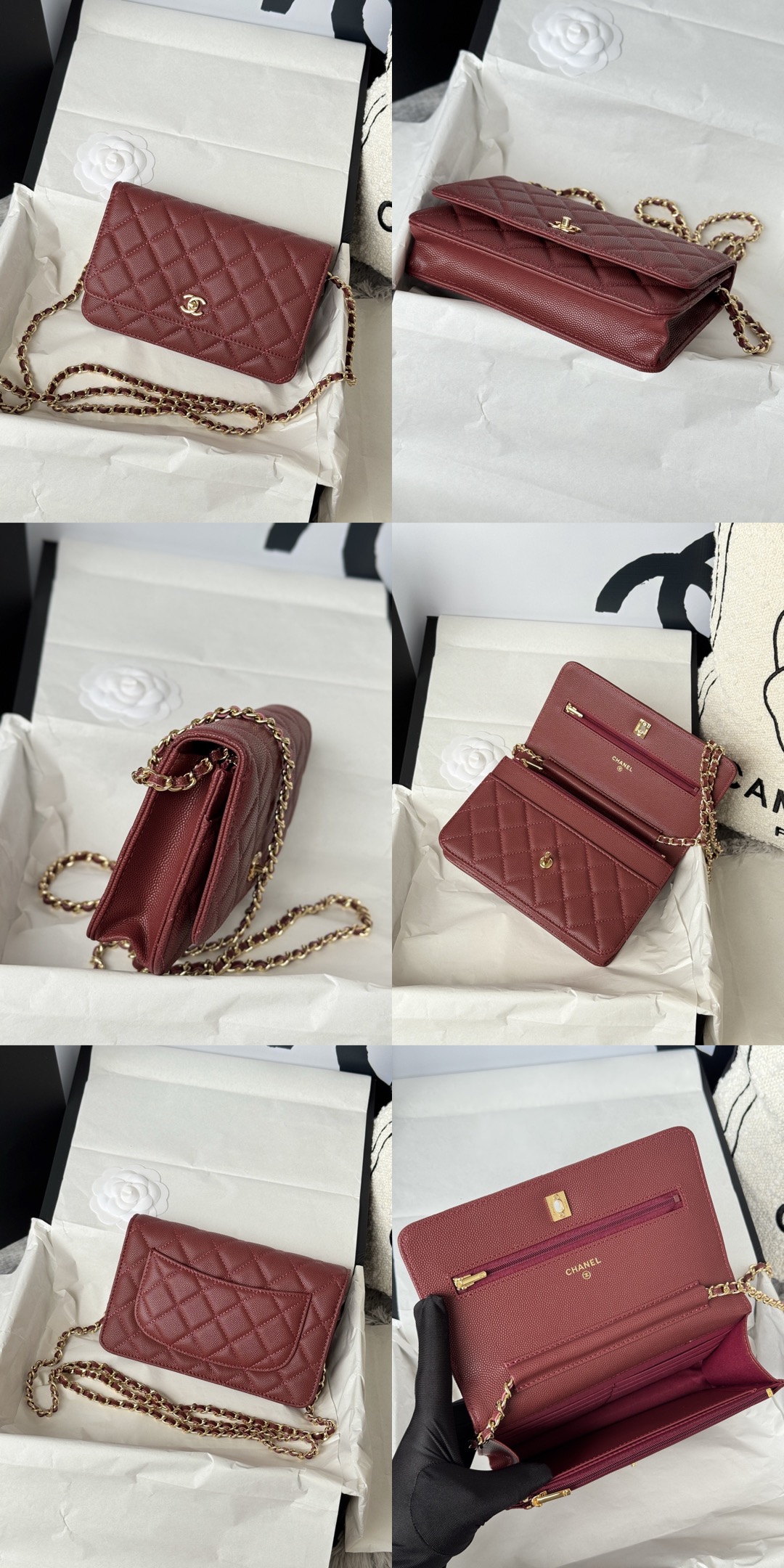 Picsew 20260317225804