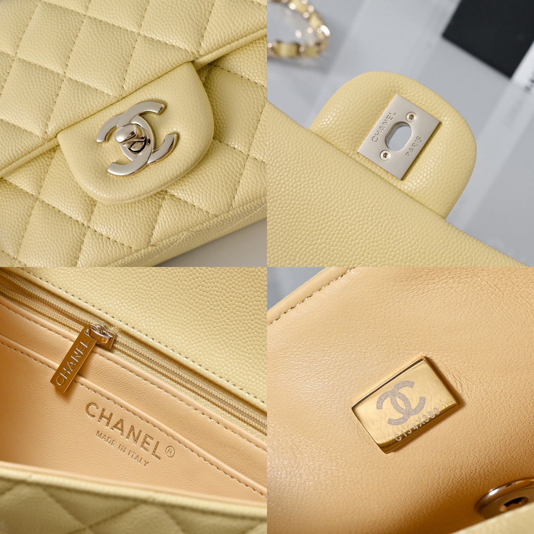 CHANEL Mini Classic Handbag Caviar leather-20CM Picsew 20260504125326
